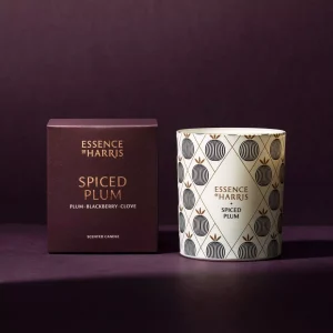 Gifts from Scotland Candle Essence of Harris