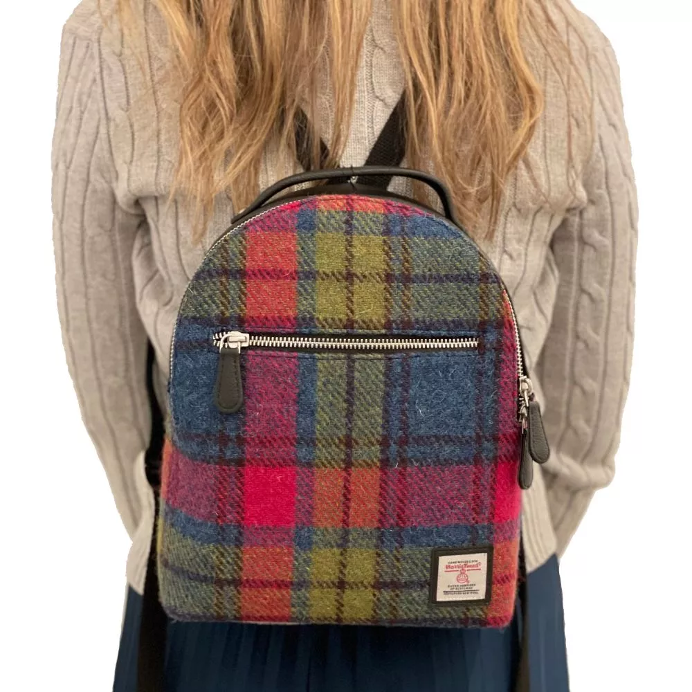 Small Backpack with carry handle and adjustable straps